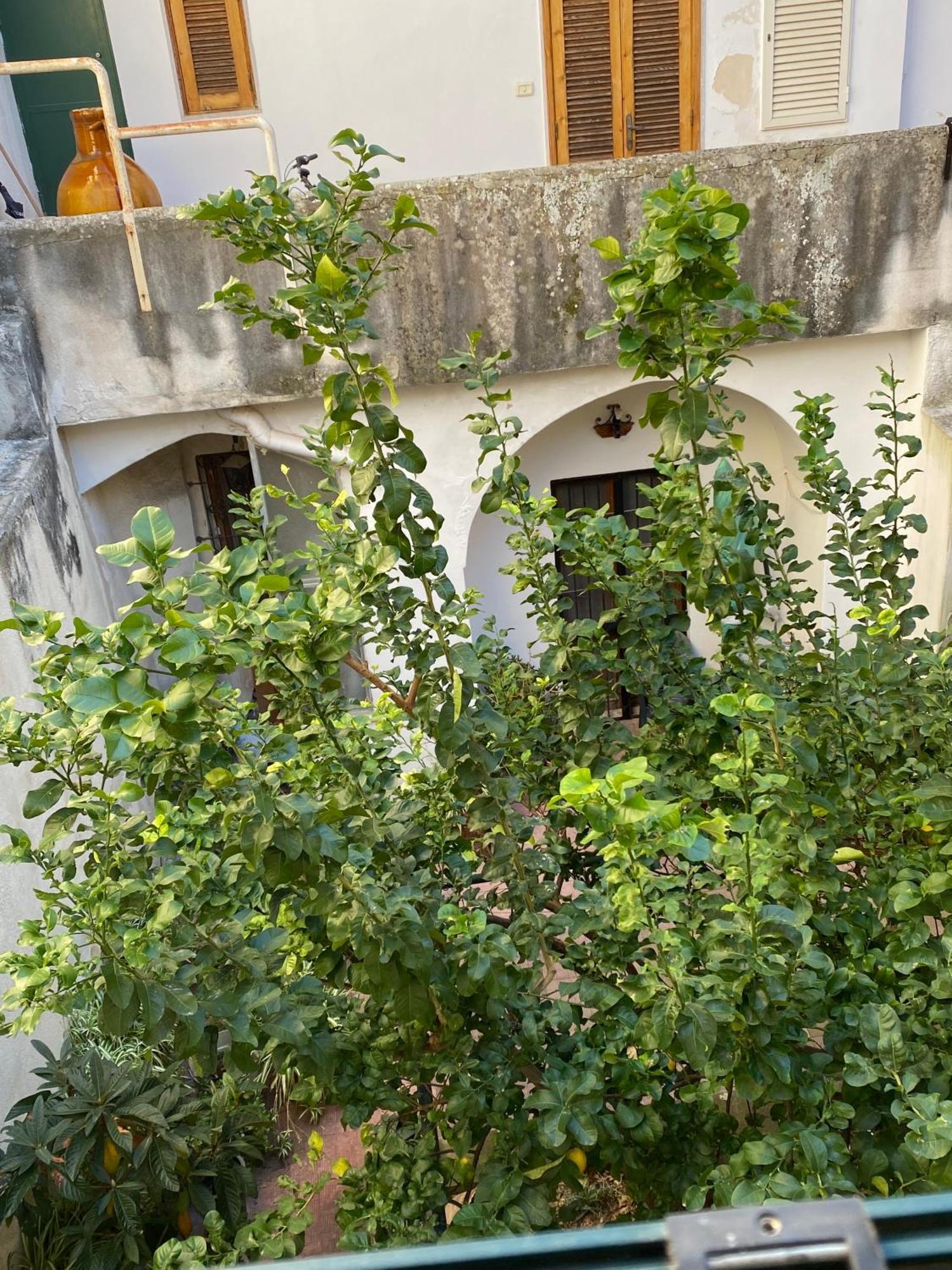 Casetta Zia Tetti Lecce Esterno foto